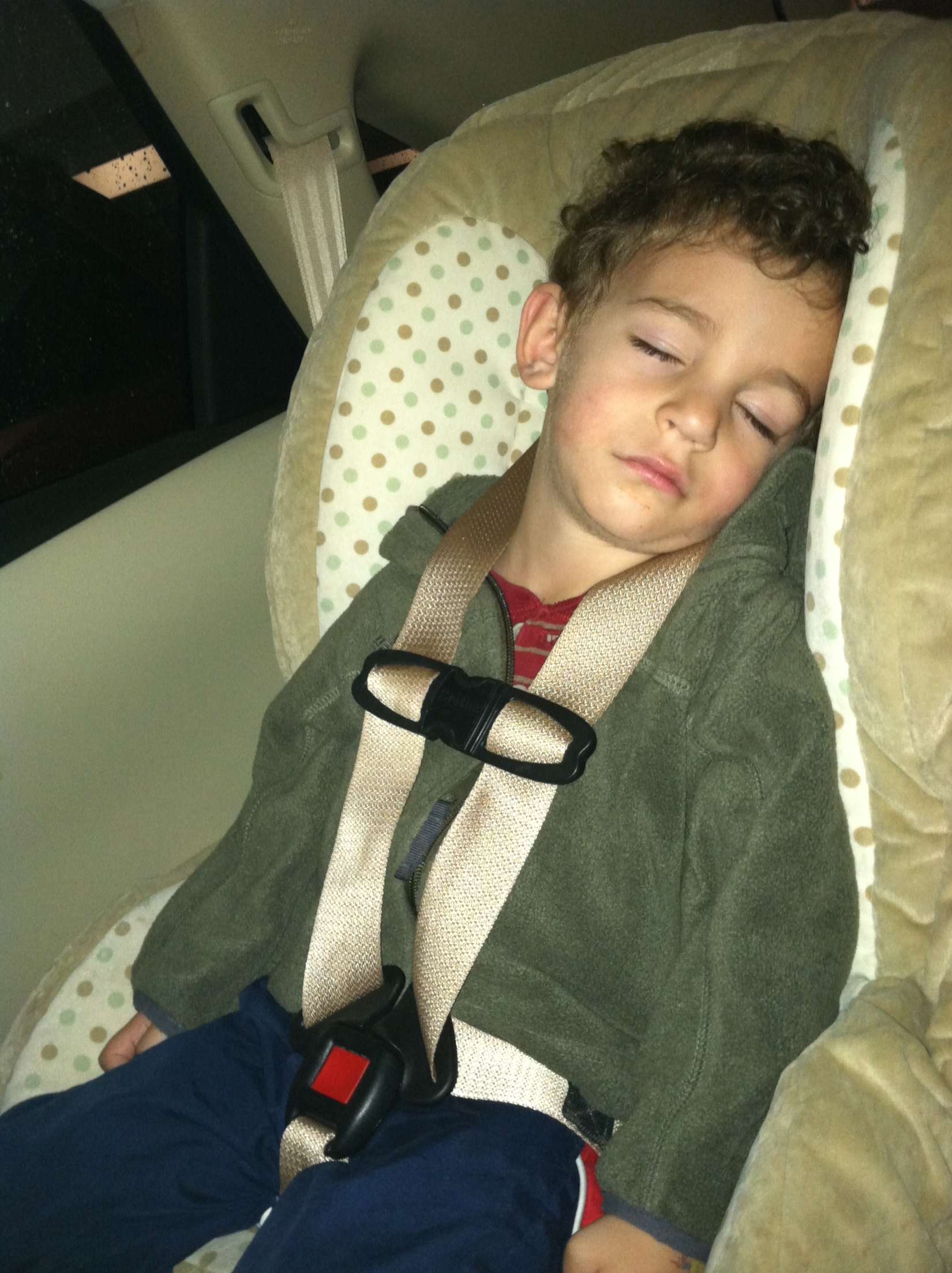 Evan Donath - casual photo