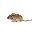 realmouse cursor preview
